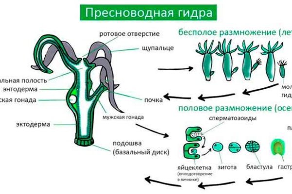 Кракен ru