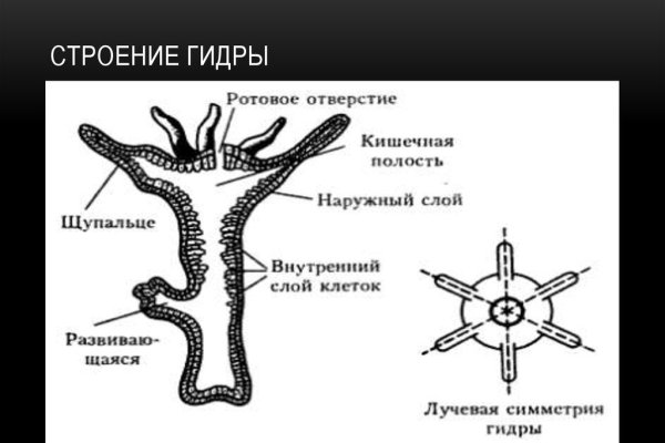 Новая ссылка кракена