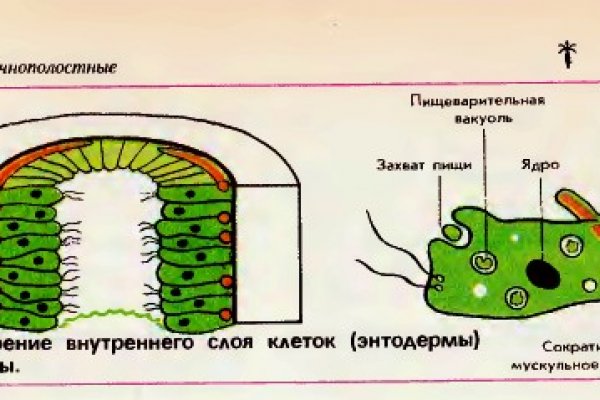 Кракен торговая площадка