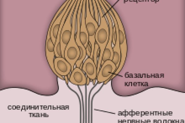 Kraken пользователь не найден при входе